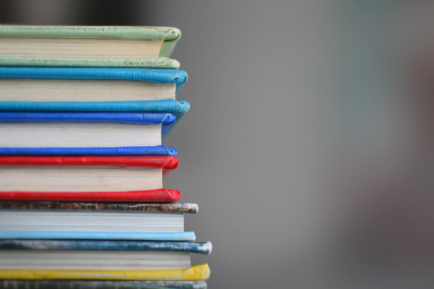 Lernen durch Engagement – Projekte unserer Schule